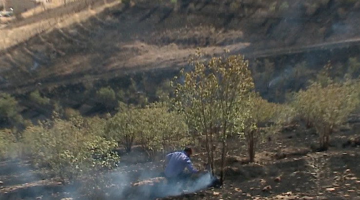 آتش غفلت به جان توس نوذر افتاد + گزارش