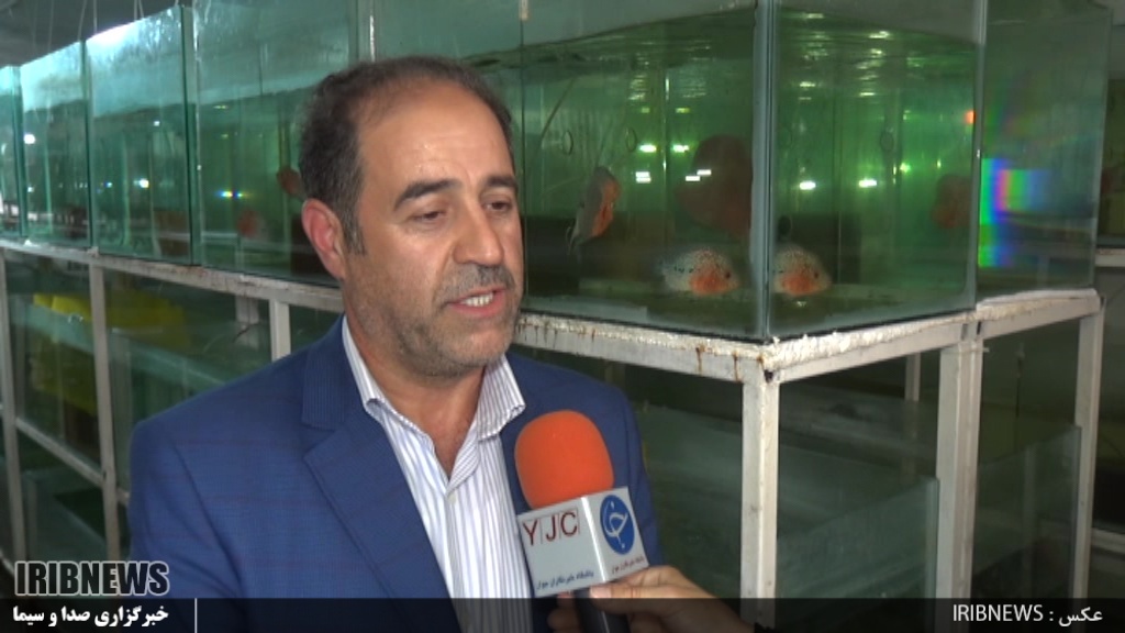 صنعتی نیازمند حمایت بیشتر در جهت رونق تولید و کاهش بیکاری