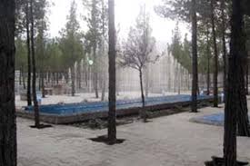 اختصاص 8 میلیارد تومان به بهسازی پارک جنگلی بیرجند