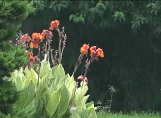 هوای بهاری در چله تابستان