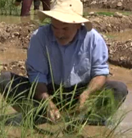 بازنشستگی ، پایانی برای شروعی دوباره