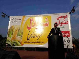 وجود 20 رقم شیربلال در کشور