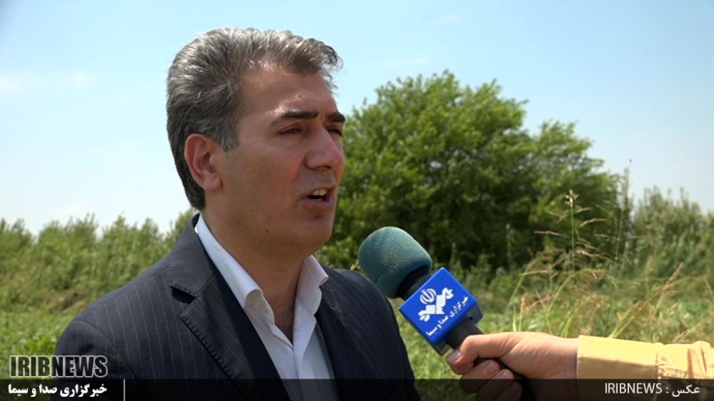 افزایش 70درصدی سطح زیر کشت گوچه فرنگی در پارس آباد افزایش 70درصدی سطح زیر کشت گوچه فرنگی در پارس آباد