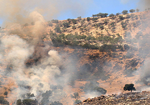 مهار آتش سوزی مراتع شهرستان اندیکا