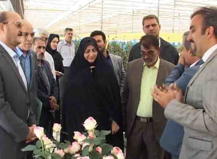بازدید استاندار از یک واحد گلخانه‌ در آبيك
