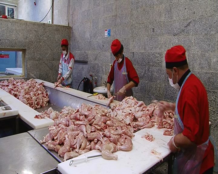 گرمی هوا مرغها را از مغازه پَر داد