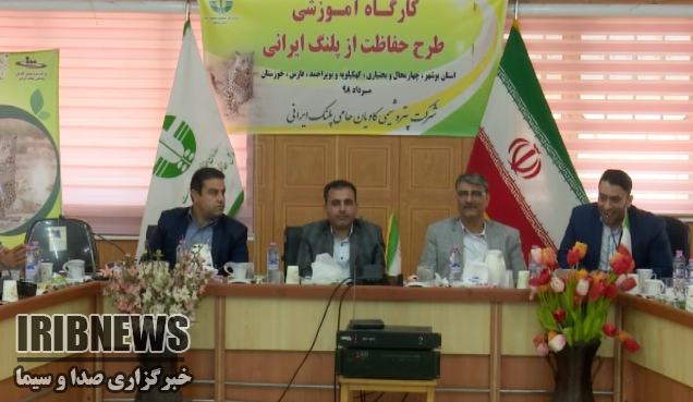 استان بوشهر زیستگاه مهم پلنگ ایرانی استان بوشهر زیستگاه مهم پلنگ ایرانی