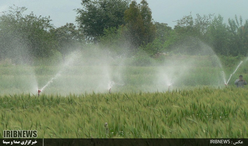 سرقت از دل زمین