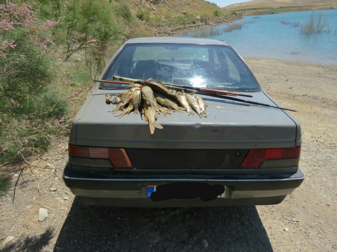 گرفتار شدن صیادان هریرود در تور محیط بانان گرفتار شدن صیادان هریرود در تور محیط بانان