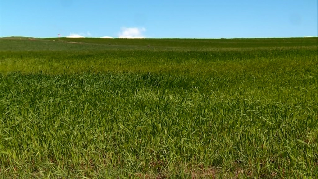 پیش بینی رگبار و رعد و برق پراکنده در ارتفاعات استان قزوین پیش بینی رگبار و رعد و برق پراکنده در ارتفاعات استان قزوین