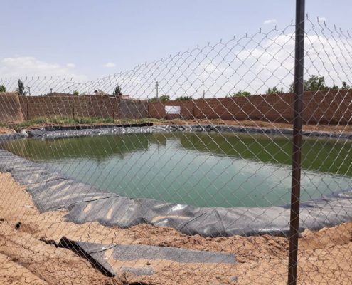 مرگی به راحتی آب خوردن مرگی به راحتی آب خوردن