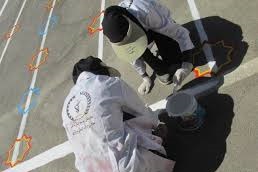 تلاش 80 گروه جهادی برای بهسازی و  زیباسازی مدارس خراسان جنوبی