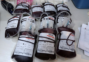 اهدای 236 واحدخون در تاسوعا و عاشورای حسینی اهدای 236 واحدخون در تاسوعا و عاشورای حسینی