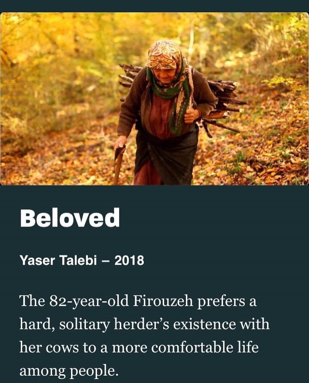 «دلبند» برنده جایزه «نتپک» جشنواره اولجو