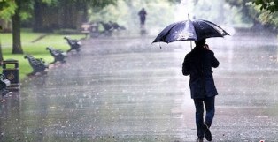 خودنمایی پاییز در آخرین روز تابستان