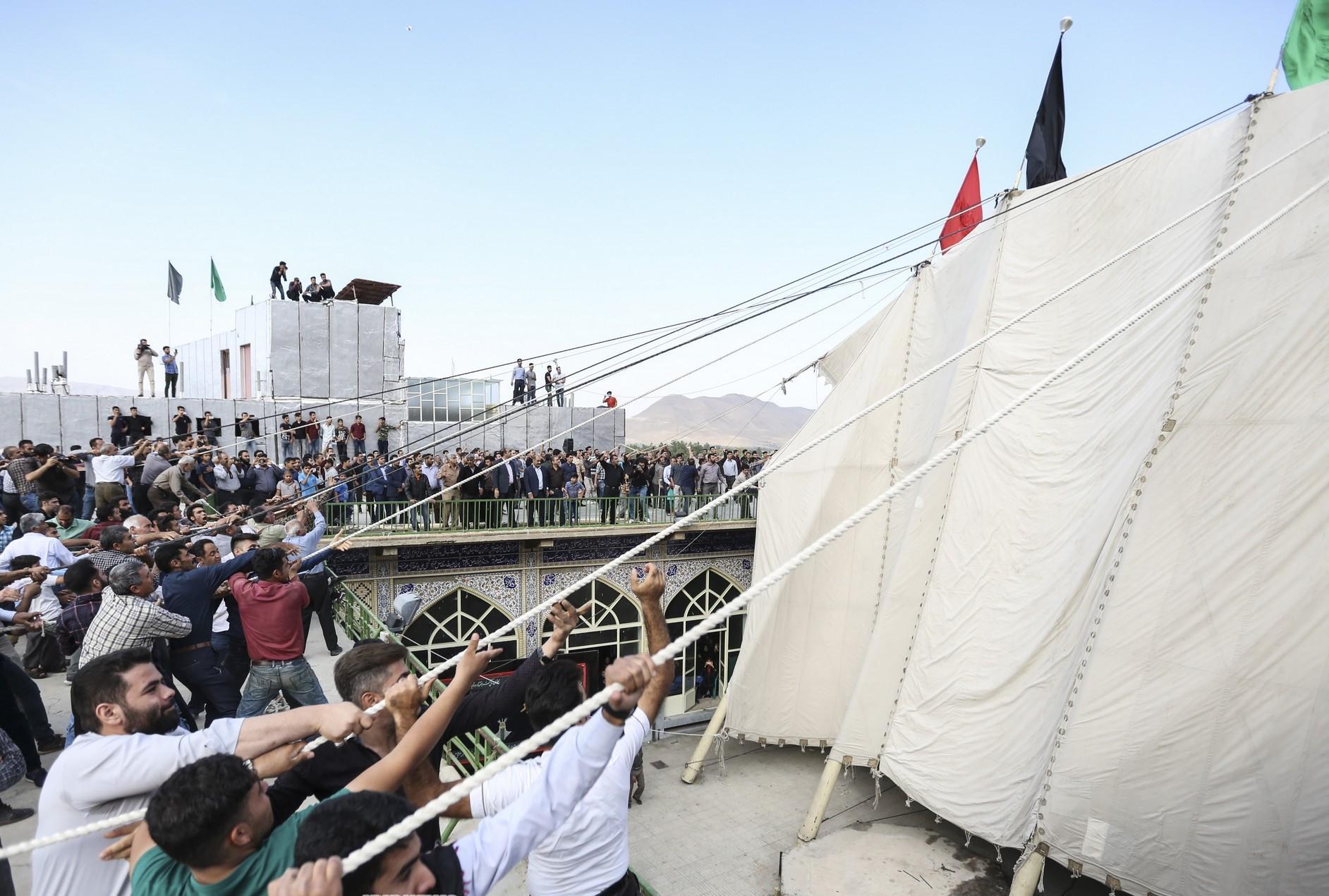 شکوه دلدادگی شکوه دلدادگی