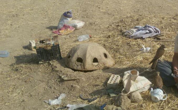 دستگیری صیادان حرفه ای پرندگان شکاری در خراسان رضوی دستگیری صیادان حرفه ای پرندگان شکاری در خراسان رضوی