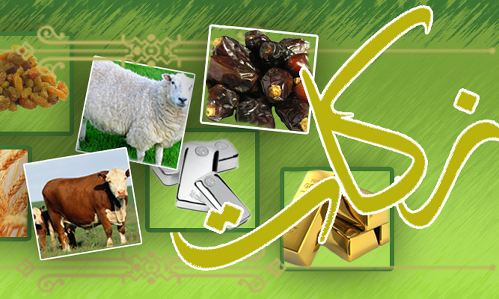 اعطای 72 هزار و 524 خدمت از محل زکات جمع آوری شده