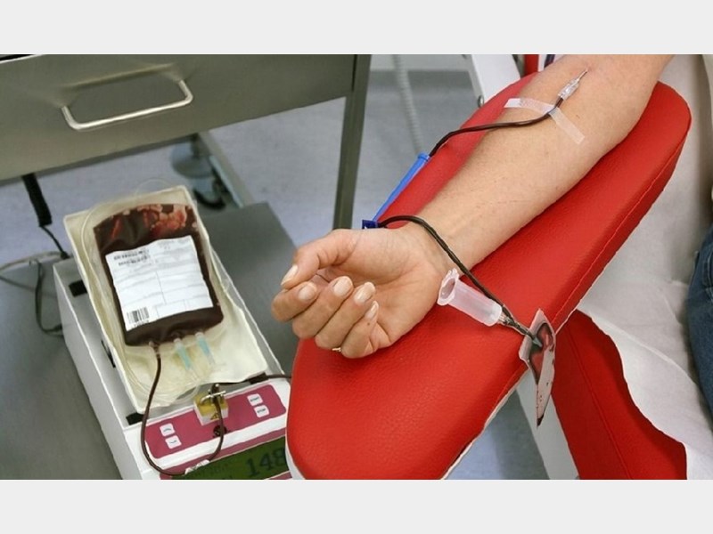 اهداء بیش از ۲۵ هزار واحد خون در استان کرمانشاه اهداء بیش از ۲۵ هزار واحد خون در استان کرمانشاه