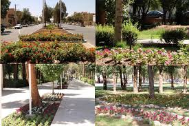 عملیات گل&zwnj;کاری فصلی در یزد