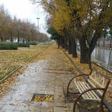 رگبار پراکنده باران در برخی از مناطق استان کرمانشاه