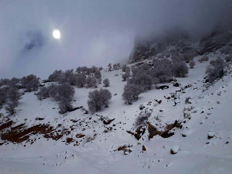 ارتفاع 30 سانتی برف درتاراز
