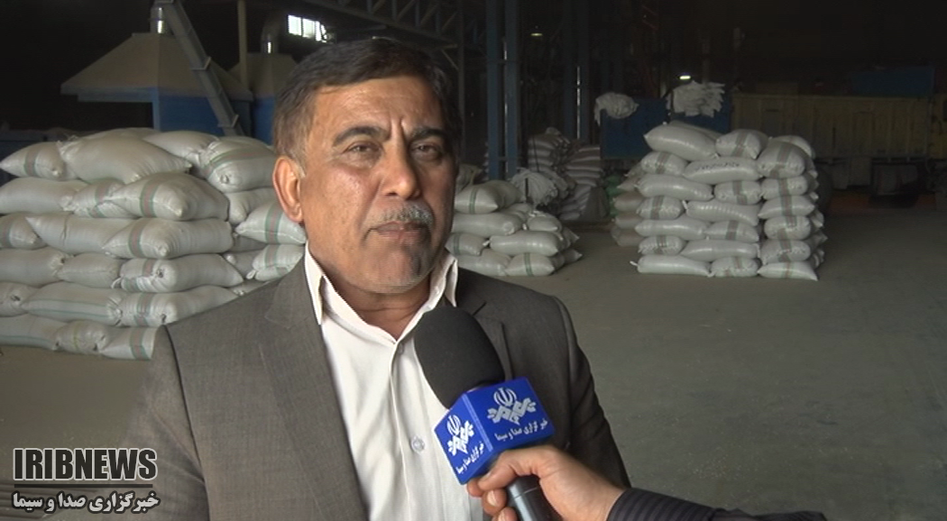 حاصلی اندک از رنجی بسیار