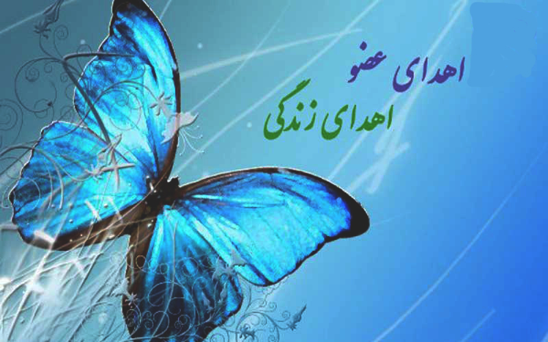 اهدای عضو ، اهدای زندگی