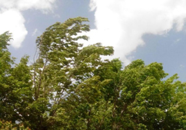 پیش بینی وزش باد شدید و رگبار پراکنده باران