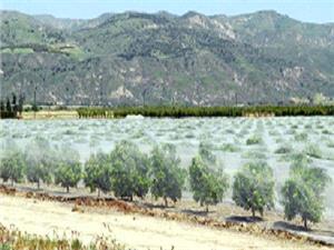 کاهش دمای هوای فارس