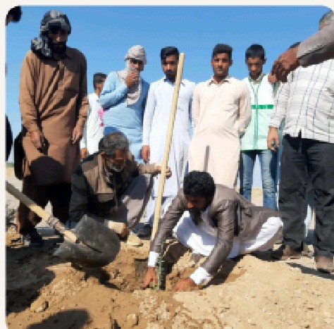 آغاز نهالکاری در کانونهای بحرانی فرسایش بادی ریگان آغاز نهالکاری در کانونهای بحرانی فرسایش بادی ریگان