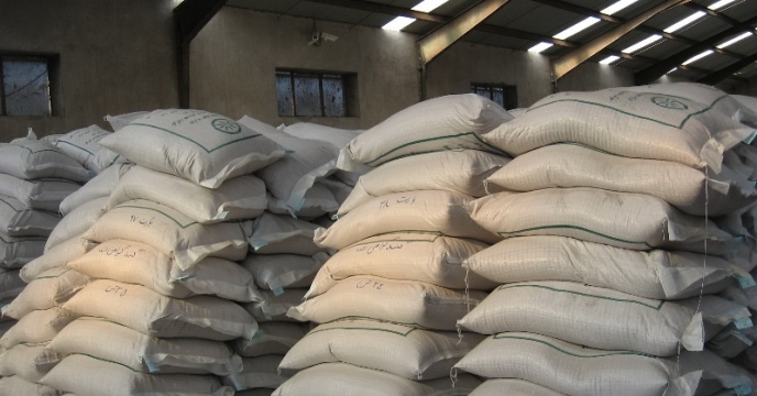 توزیع ۵۰ تن انواع بذر اصلاح شده در خلیل آباد توزیع ۵۰ تن انواع بذر اصلاح شده در خلیل آباد