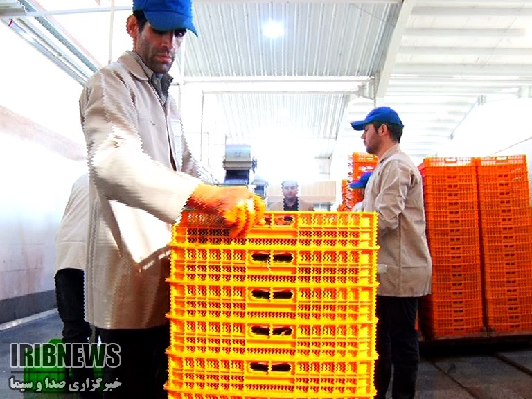 پرداخت تسهیلات به مددجویان کارآفرین