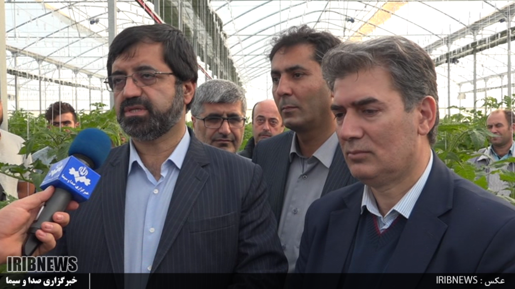 برداشت اولین محصول بزرگترین شهرک گلخانه ای کشور تا 10 روز آینده برداشت اولین محصول بزرگترین شهرک گلخانه ای کشور تا 10 روز آینده