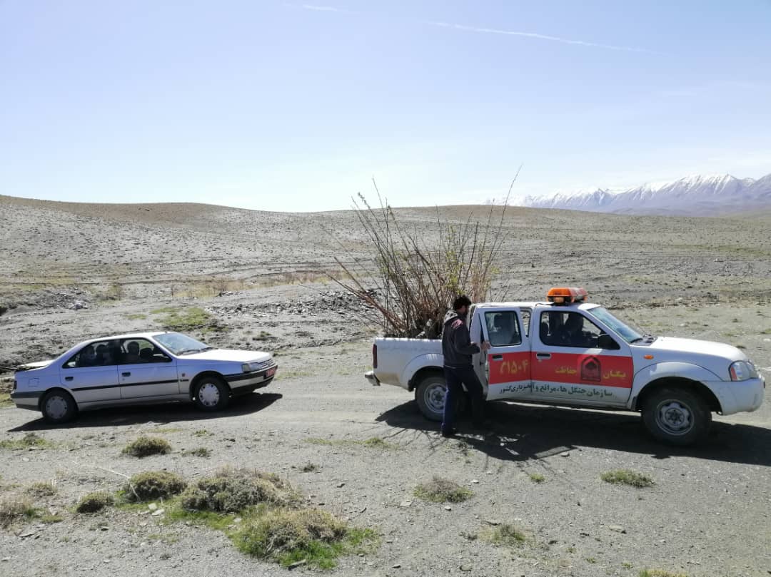 رفع تصرف حدود 14 هزار و 500 متر مربع از اراضی ملی گلپایگان