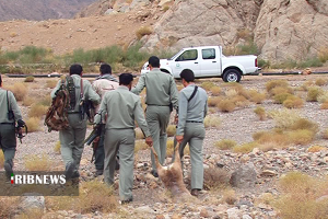 طبیعت کرمان در آرامش