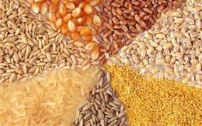 درخواست واردکنندگان نهاده‌های دامی از رئیس قوه مجریه