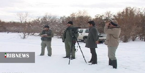 آغاز سرشماری پرندگان در استان زنجان