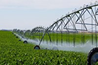 صرفه جویی ۶۲۵ میلیون مترمکعبی آب در بخش کشاورزی آذربایجان غربی