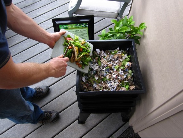 ورمی کمپوست خانگی چگونه ساخته میشود؟ ورمی کمپوست خانگی چگونه ساخته میشود؟