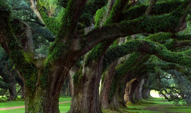 سیل بی سیل...