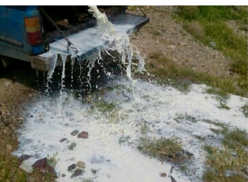 معدوم سازی 380 کیلوگرم شیر خام در ششتمد معدوم سازی 380 کیلوگرم شیر خام در ششتمد