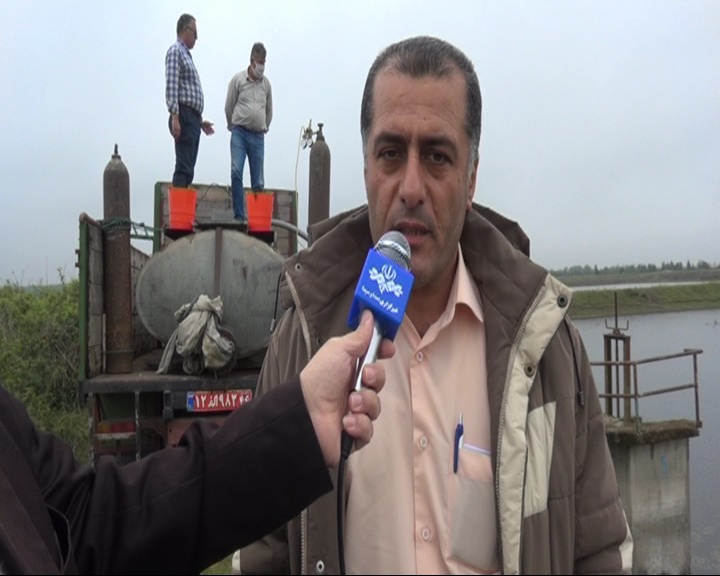 پرورش لارو ماهی سفید در کیاشهر