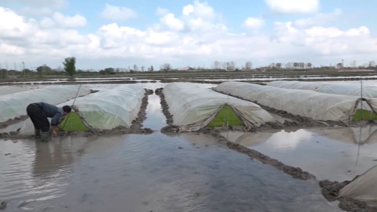 افزایش ۳۳ درصدی بارندگی در مازندران