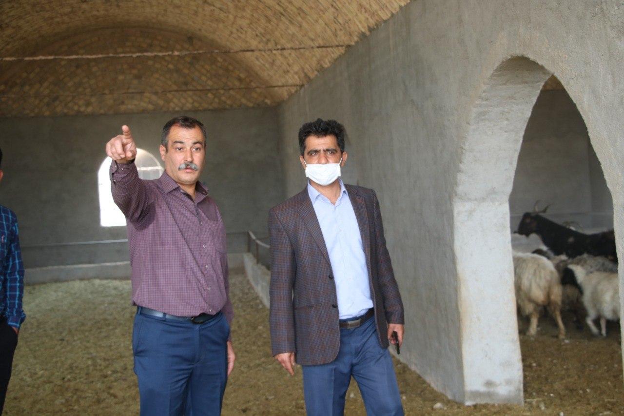 آغاز بکار بزرگترین مرکز قرنطینه و میدان دام استان در مهریز