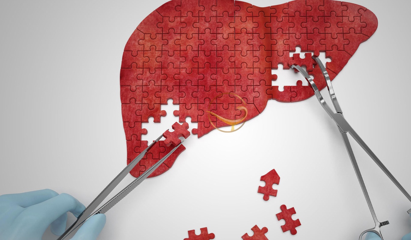 روز جهانی اهدا عضو