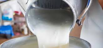 دامداری یزد در پیچ و خم مشکلات 