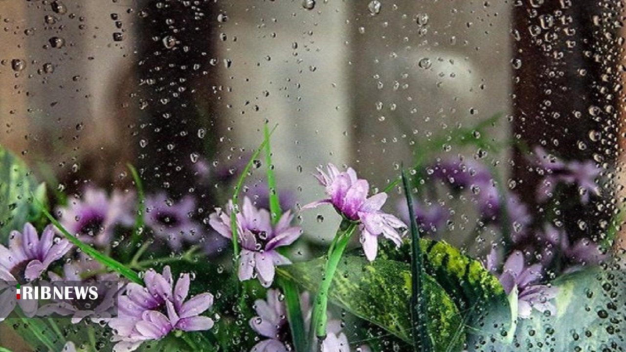 بارش ها تا جمعه ادامه دارد بارش ها تا جمعه ادامه دارد