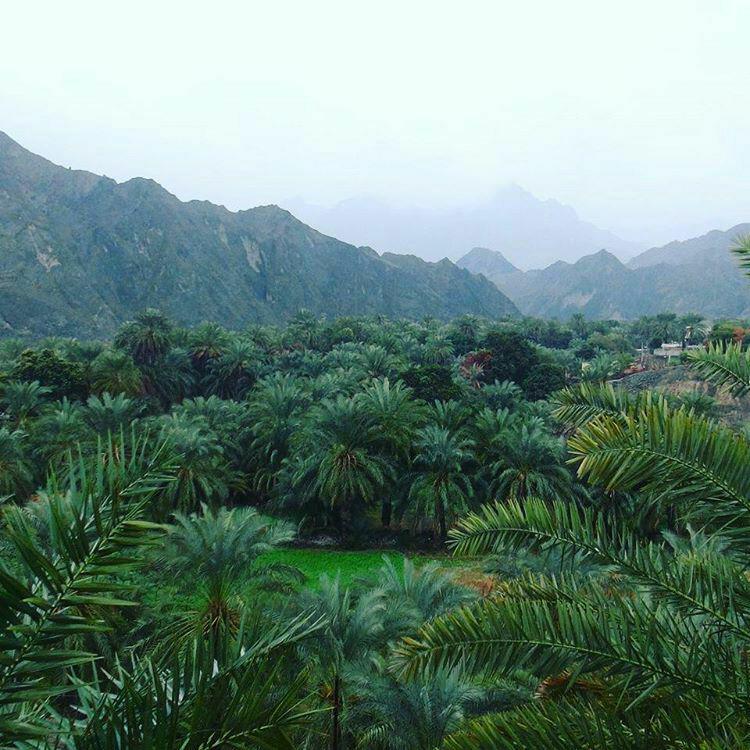 پیش بینی رگبار باران و باد در سیستان و بلوچستان پیش بینی رگبار باران و باد در سیستان و بلوچستان