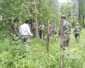 بازگشت بیش از 2 هزار متر عرصه ملی در تنکابن